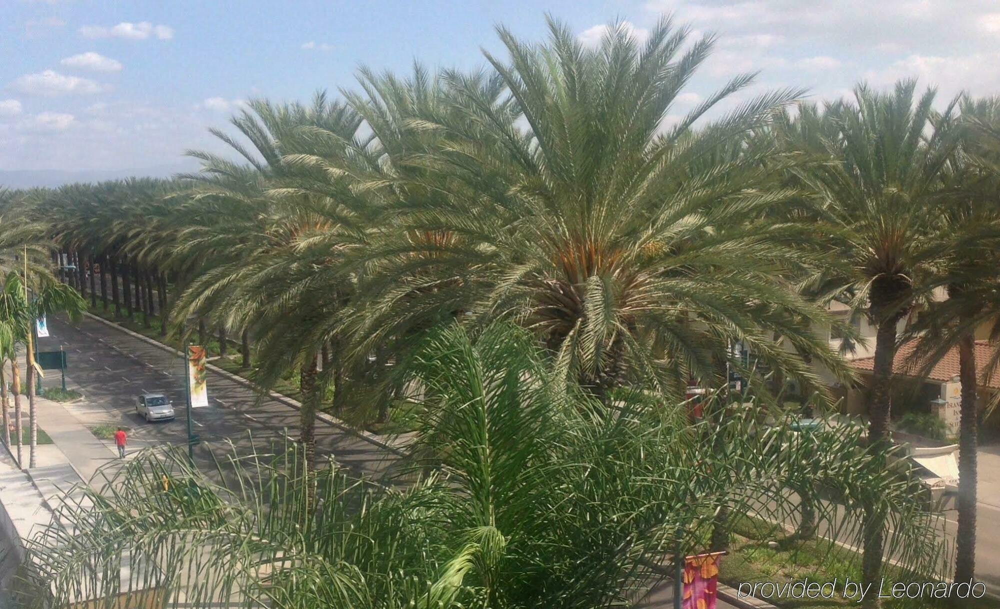Hotel Indigo Anaheim By Ihg Εξωτερικό φωτογραφία
